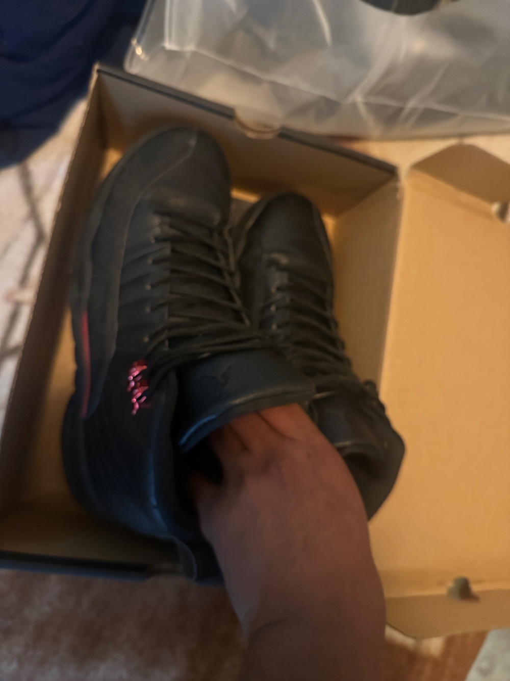 Jordan 12 bloodline men
